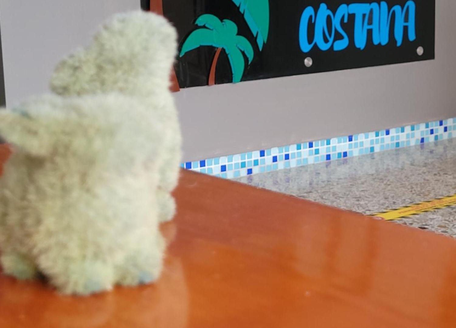 Costana - Inn