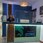 Costana - Hostal